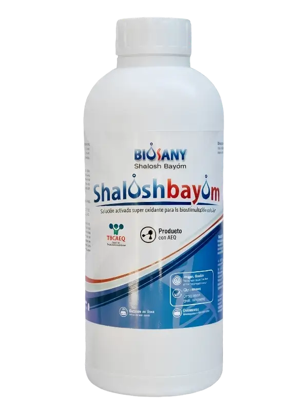 Shalósh Bayóm